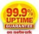 99% Web Hosting Guarantee