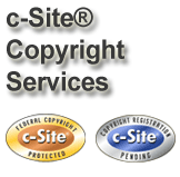 cSite Copyright Services Image