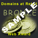 Domains at Retail Bronze Web Award