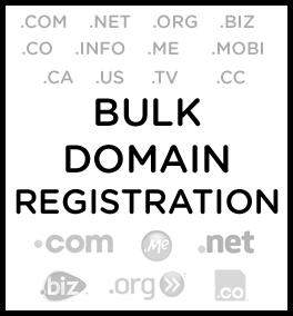 Bulk Domain Registration