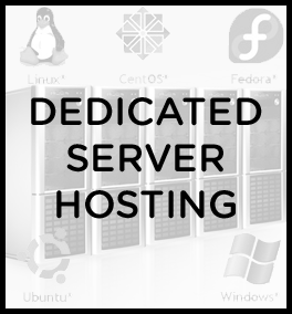 Dedicated Server