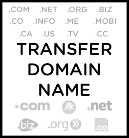 Transfer Domain Name