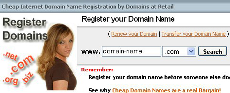 How Do I Register a Domain Name Image 2
